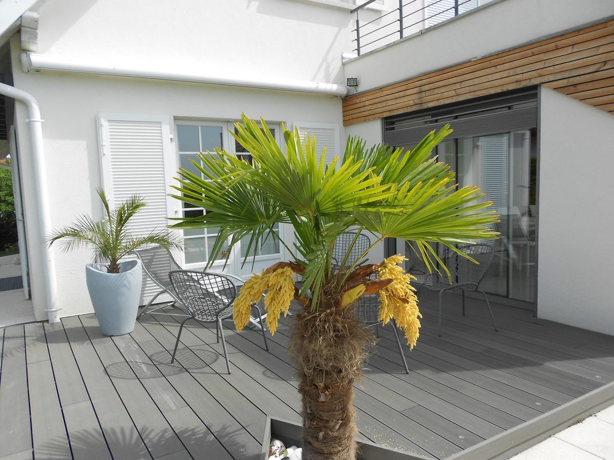 Au Coeur Du Vignoble Bed & Breakfast ออร์ชวิลแลร์ ภายนอก รูปภาพ
