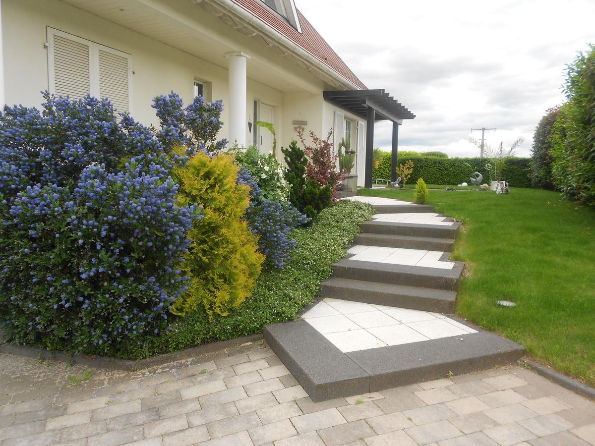 Au Coeur Du Vignoble Bed & Breakfast ออร์ชวิลแลร์ ภายนอก รูปภาพ